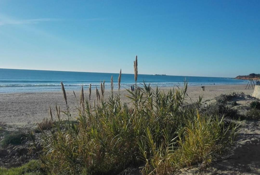 Apartamento Novo ,Chiclana Daire Chiclana de la Frontera Dış mekan fotoğraf